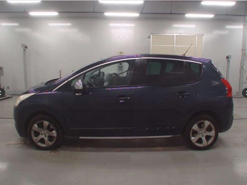 Фото донора 7