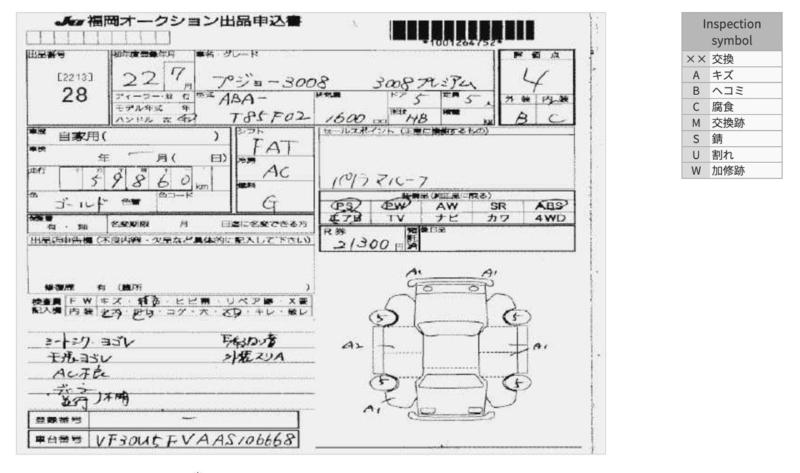 Фото донора 2