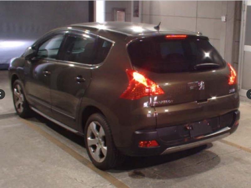 Фото донора 4