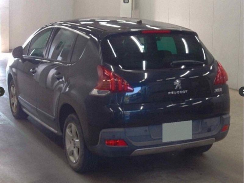 Фото донора 4