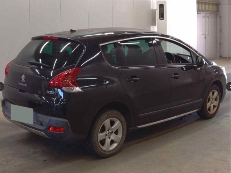 Фото донора 5