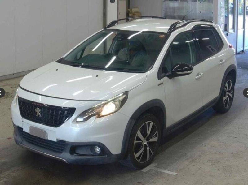 Фото донора 3