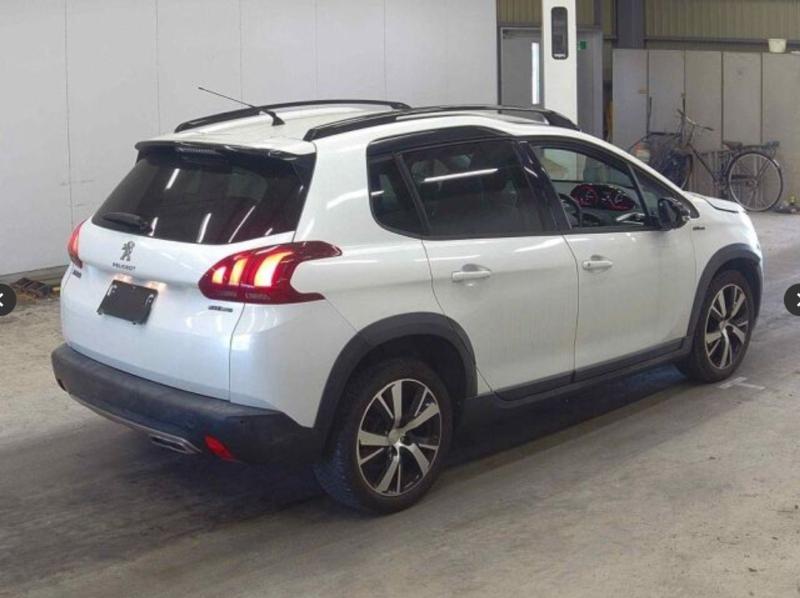 Фото донора 5