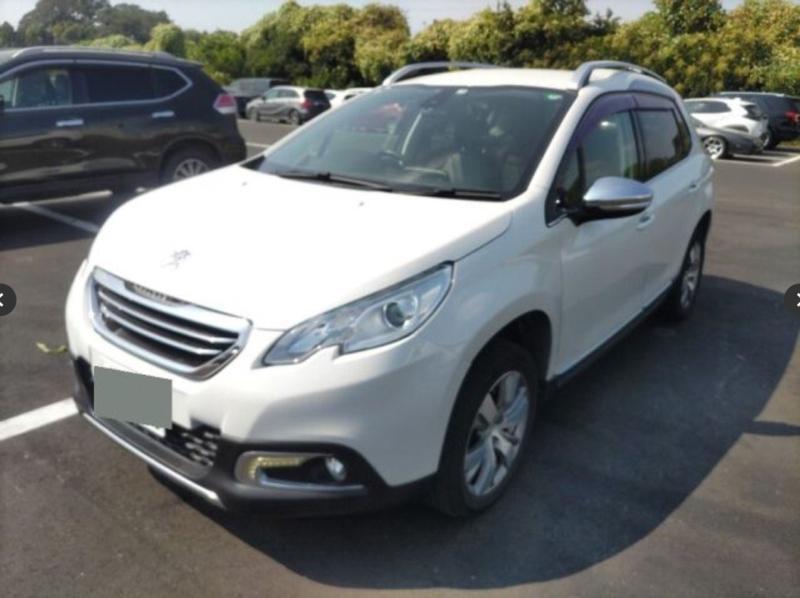 Фото донора 3