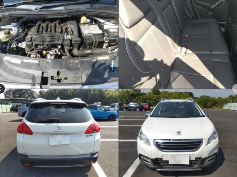 Фото донора 7