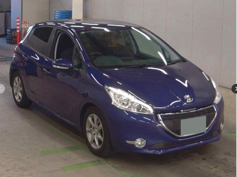 Фото донора 1