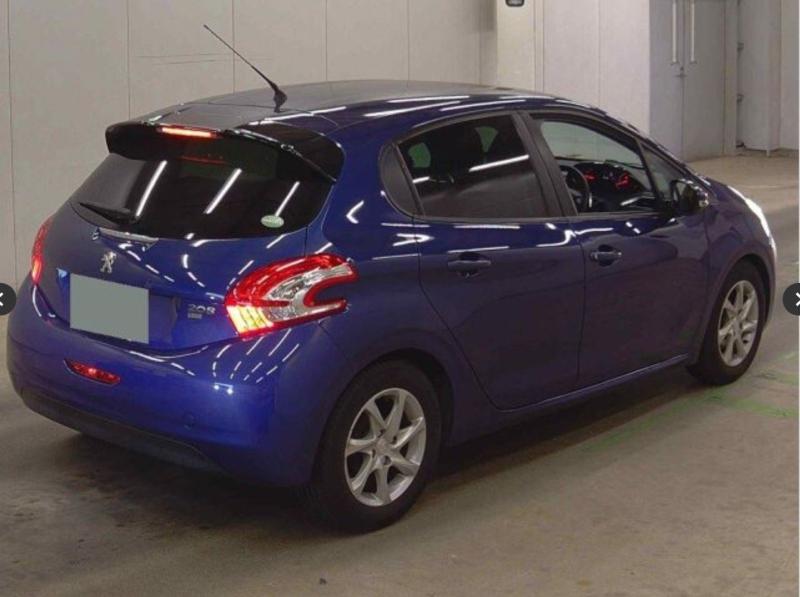 Фото донора 5