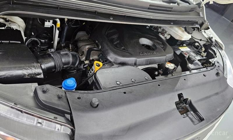 Фото донора 4