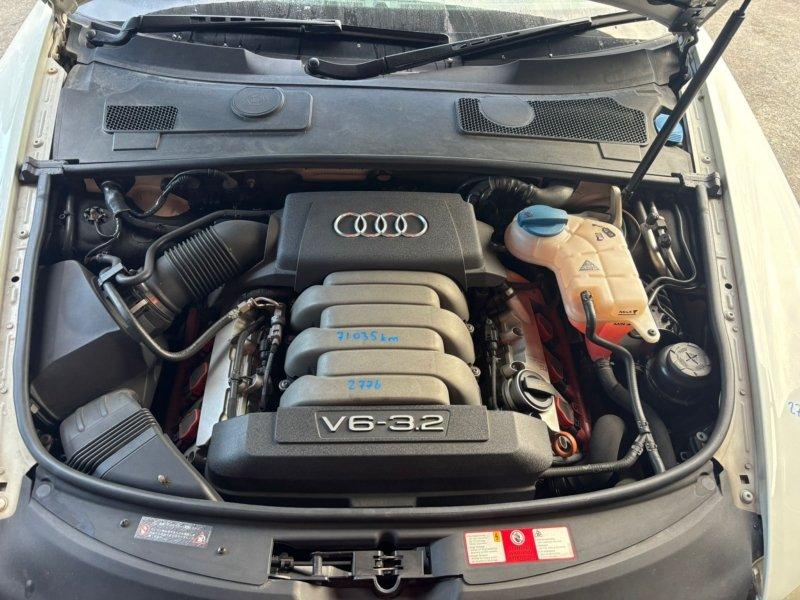 Фото донора 8