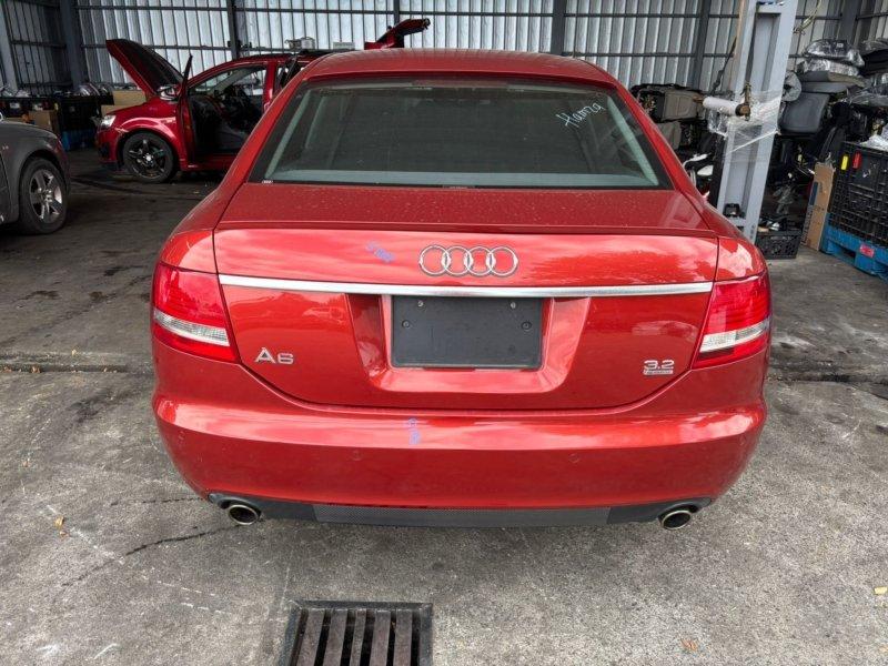 Фото донора 5