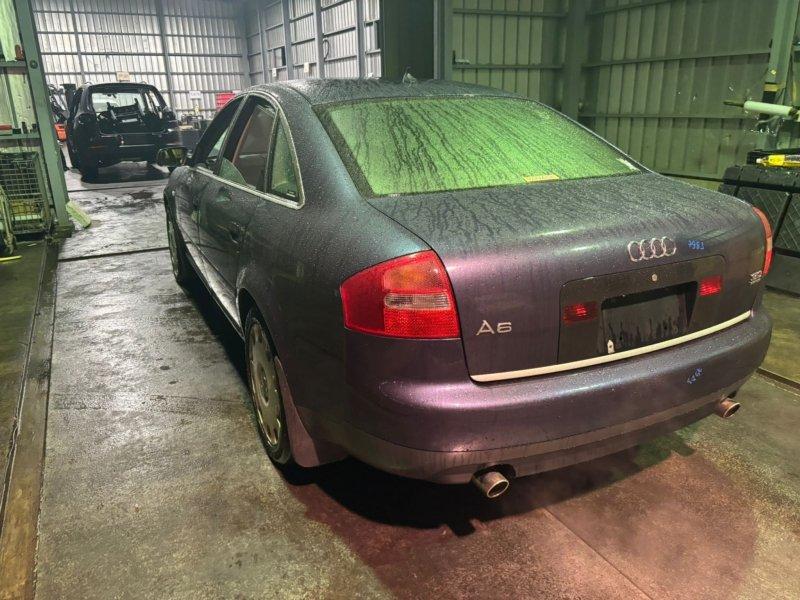 Фото донора 5