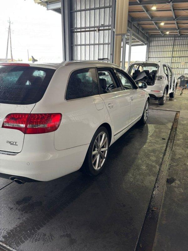 Фото донора 3