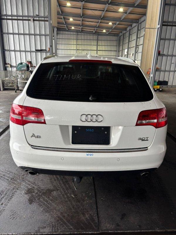 Фото донора 4