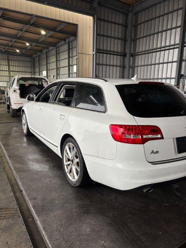 Фото донора 5