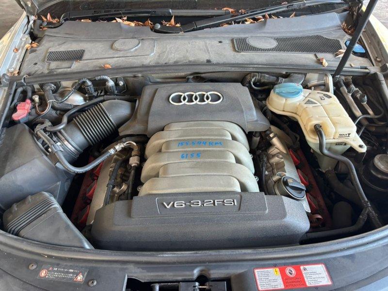 Фото донора 8