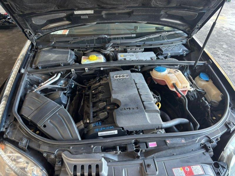 Фото донора 7