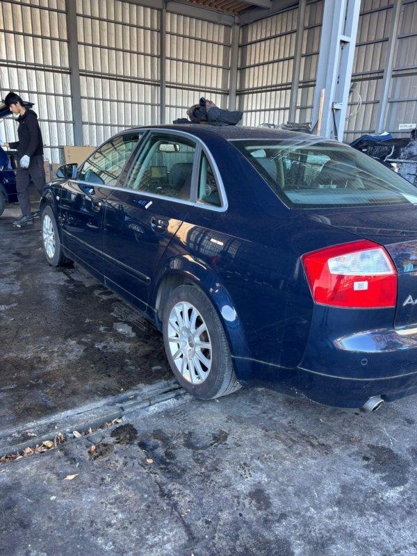 Фото донора 2