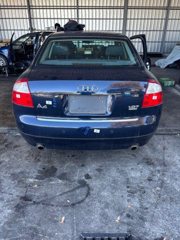 Фото донора 4