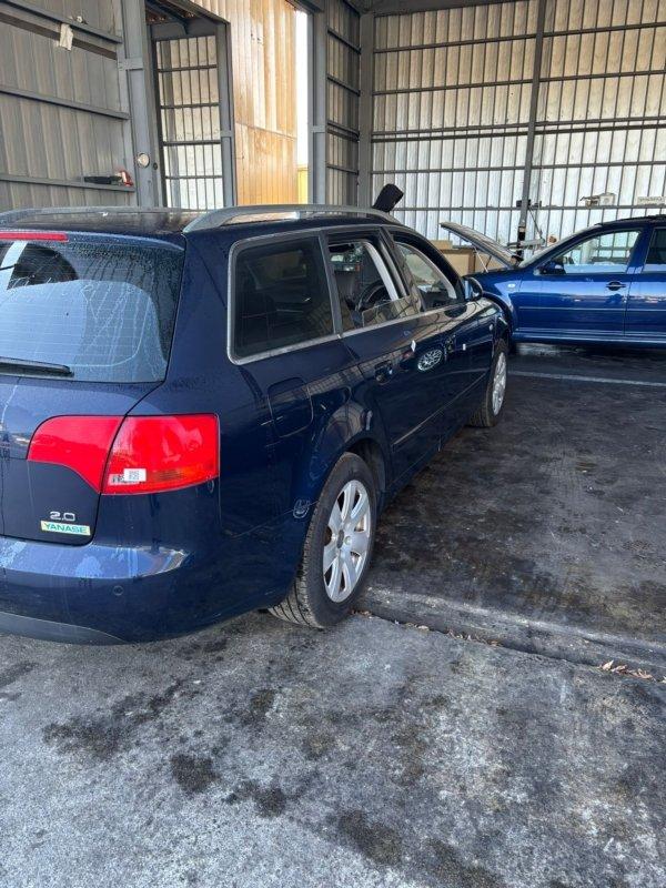 Фото донора 3