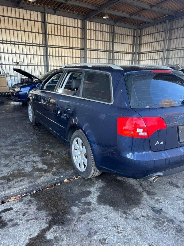 Фото донора 4