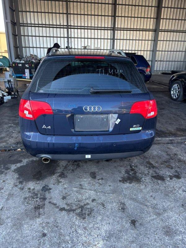 Фото донора 5