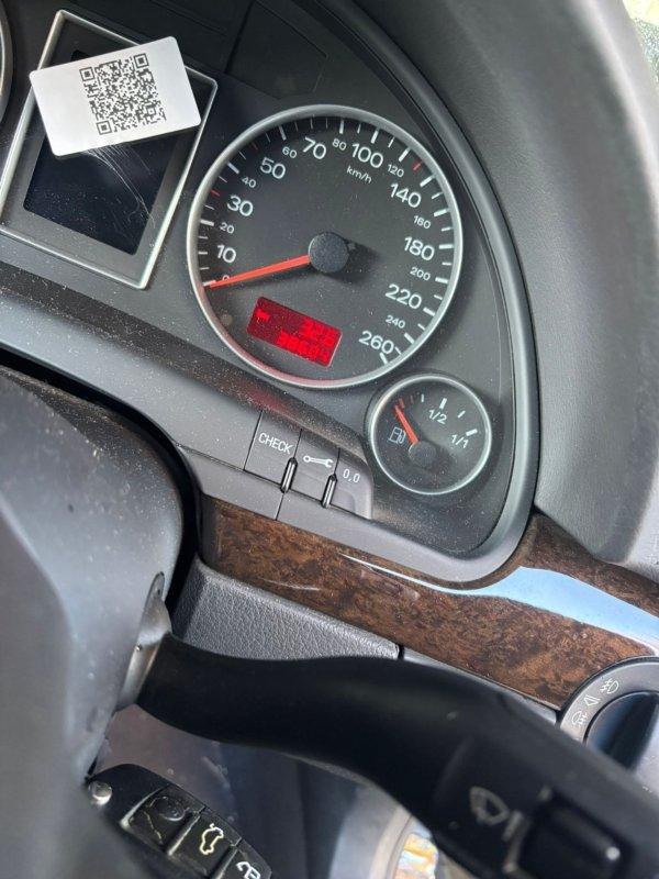 Фото донора 8