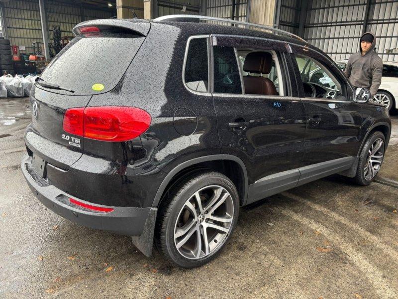 Фото донора 4