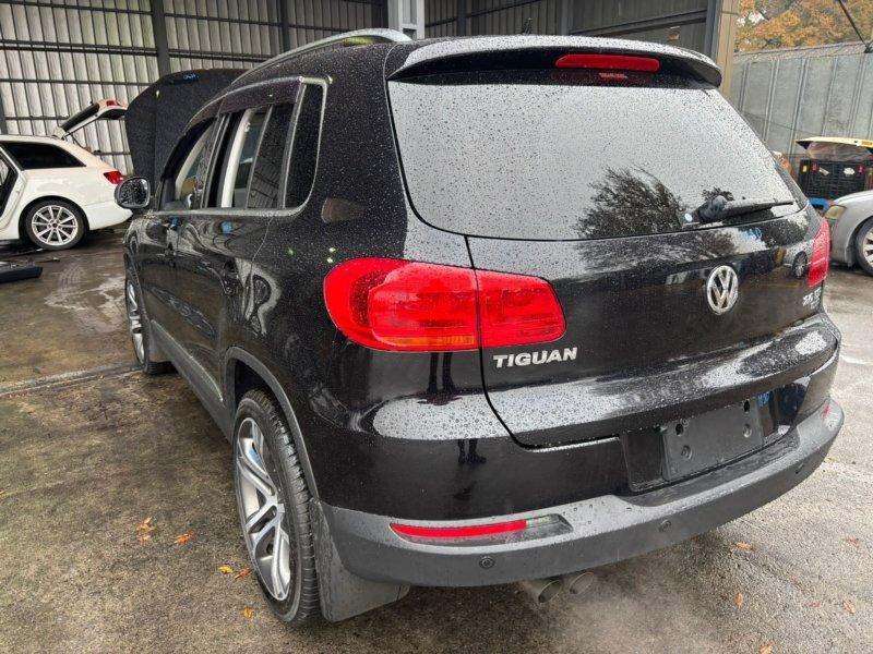 Фото донора 5