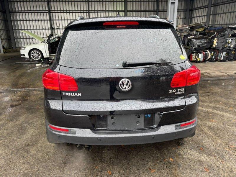 Фото донора 6