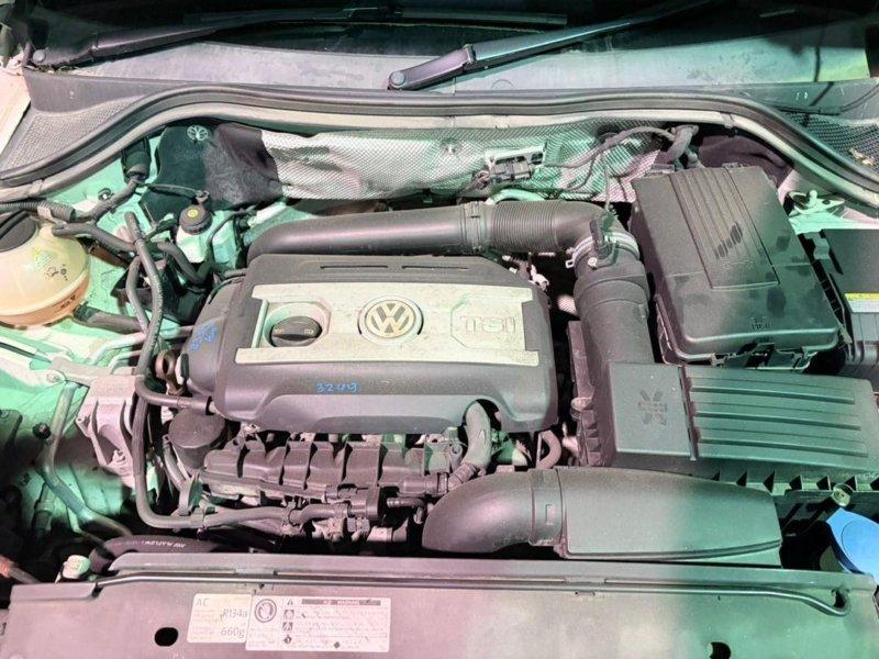 Фото донора 5