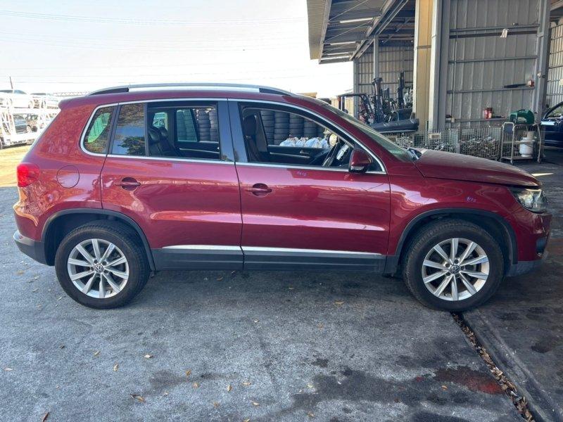 Фото донора 2