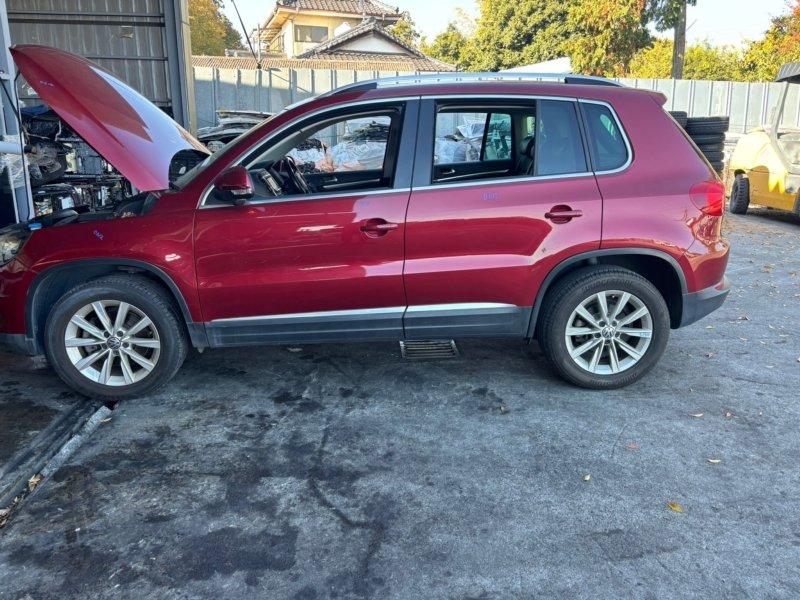 Фото донора 3