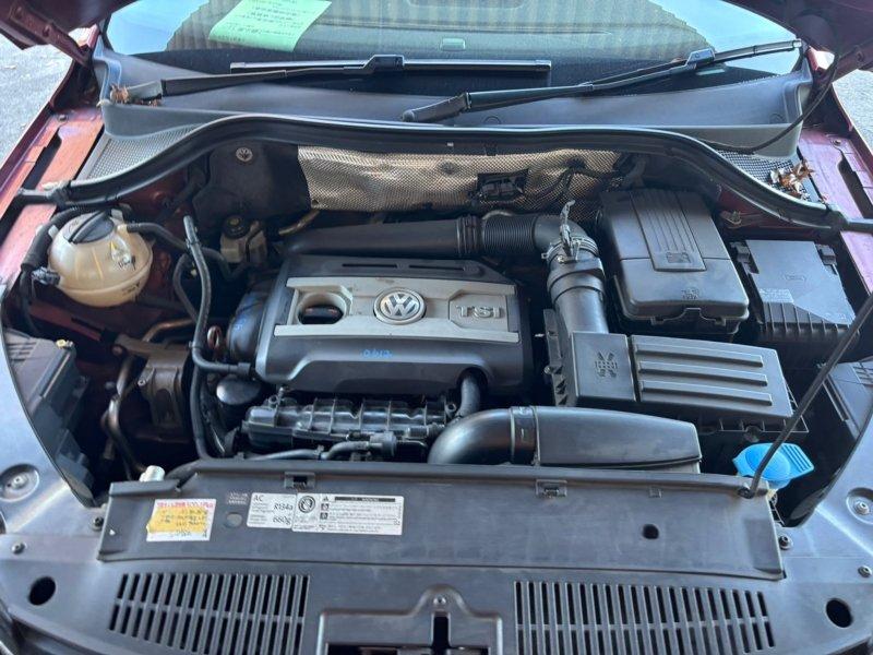 Фото донора 6