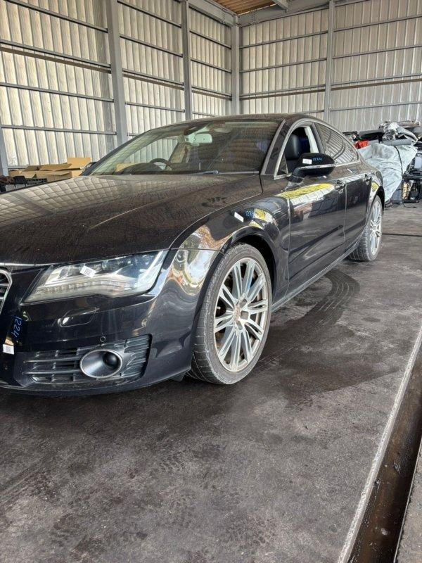 Фото донора 2