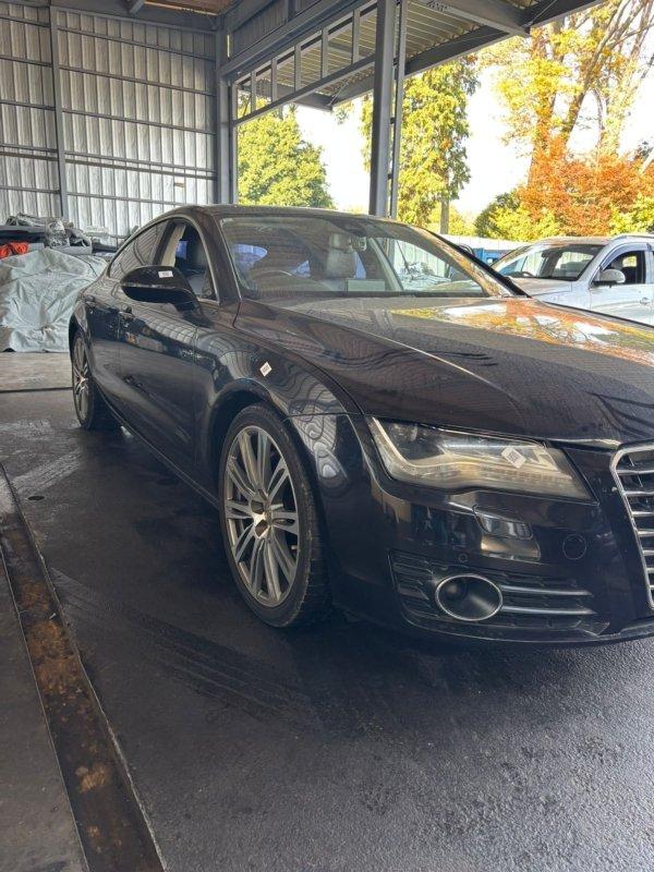 Фото донора 3