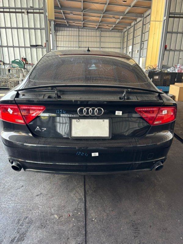 Фото донора 5