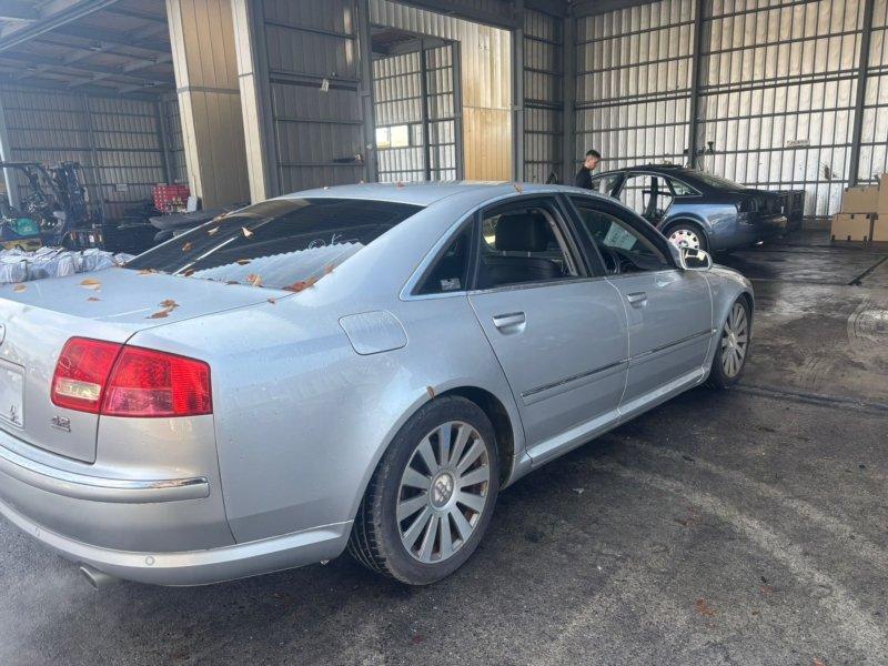 Фото донора 4