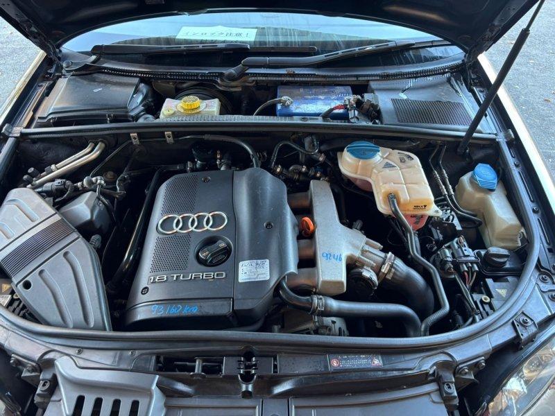 Фото донора 8