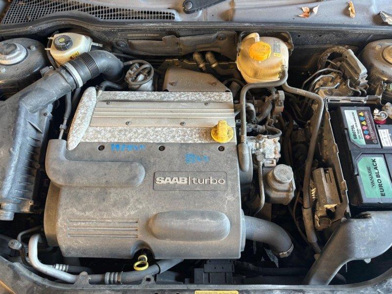 Фото донора 6