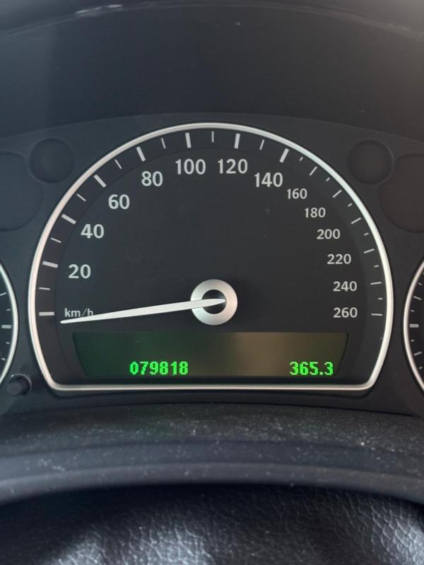 Фото донора 7