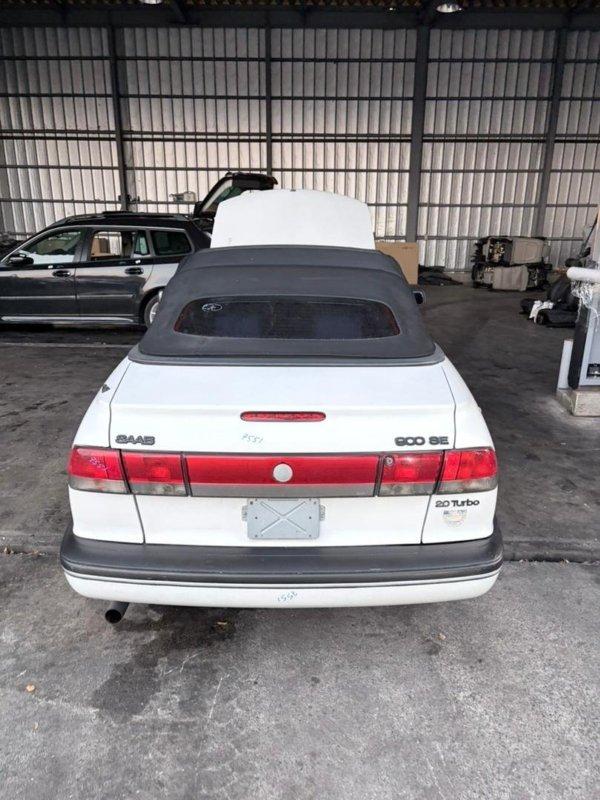 Фото донора 5