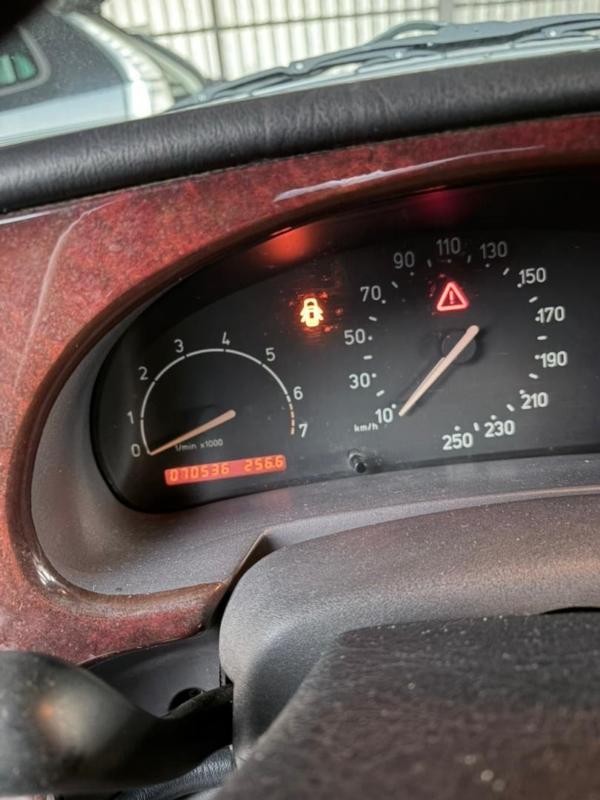 Фото донора 9