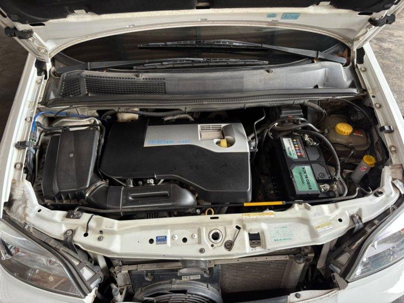 Фото донора 8