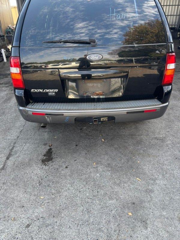 Фото донора 4