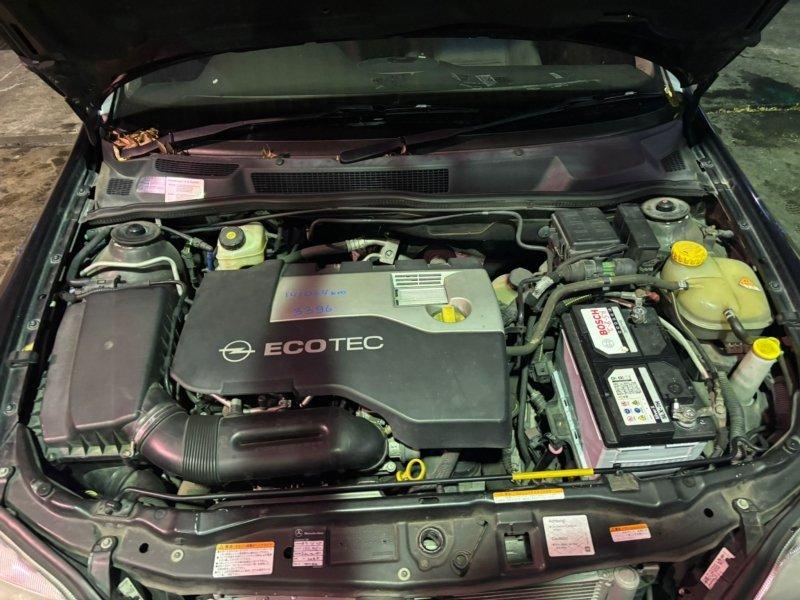 Фото донора 8