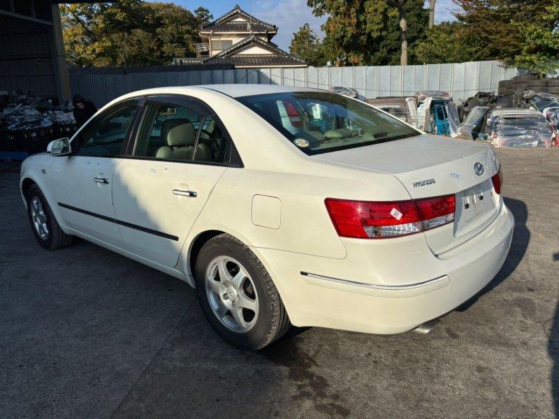 Фото донора 4