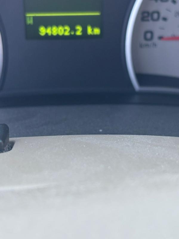 Фото донора 11