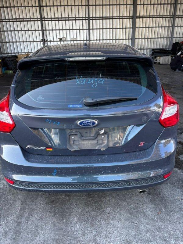 Фото донора 4