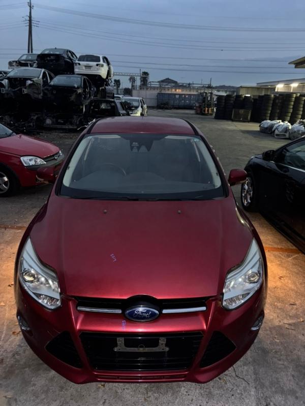 Фото донора 4