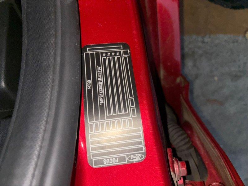 Фото донора 8